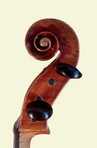andrea guarneri